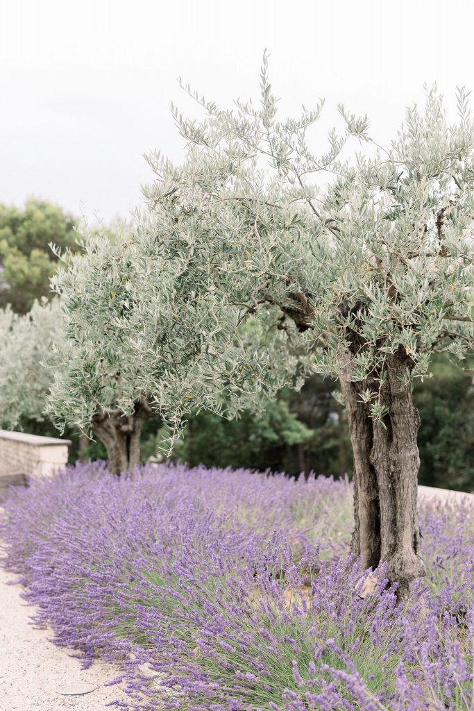 mariage-en-provence-vmcom